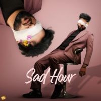 Sad Hour By Chandra Brar full mp3 album downlad
