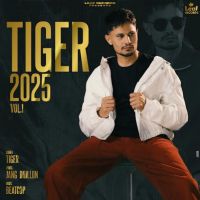 Aim Tiger mp3 song free download, Tiger 2025 Vol. 1 Tiger full album