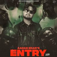 Entry By Aadab Brar full mp3 album downlad