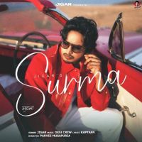 Surma Jigar mp3 song free download, Surma Jigar full album