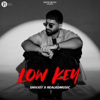 Lowkey Shivjot mp3 song free download, Lowkey Shivjot full album
