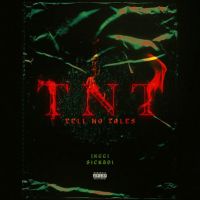 TNT Jxggi mp3 song free download, TNT Jxggi full album