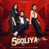 5 Goliya Pathan mp3 song free download, 5 Goliya Pathan full album