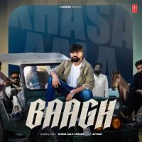 Baagh Khasa Aala Chahar mp3 song free download, Baagh Khasa Aala Chahar full album