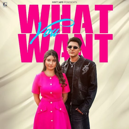 What You Want Arjun Sahota mp3 song free download, What You Want Arjun Sahota full album