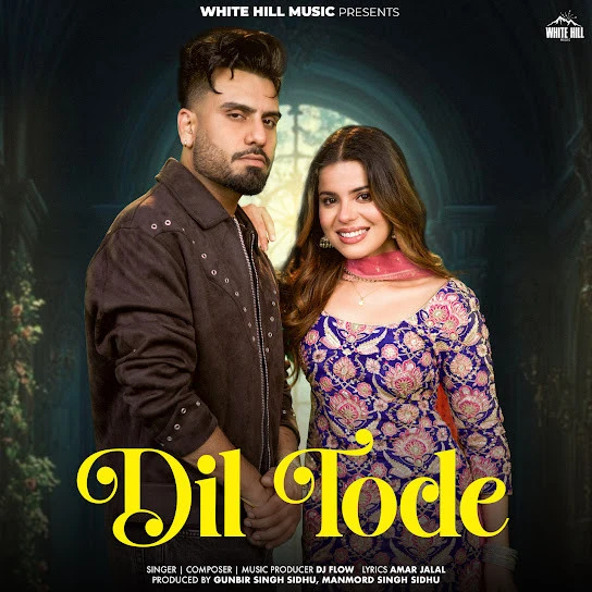 Dil Tode DJ Flow mp3 song free download, Dil Tode DJ Flow full album