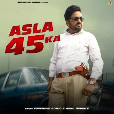 Asla 45 Ka Surender Romio, Ashu Twinkle mp3 song free download, Asla 45 Ka Surender Romio, Ashu Twinkle full album