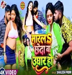 Marala Chheda Ba Ughar Ho Shailesh Premi mp3 song free download, Marala Chheda Ba Ughar Ho Shailesh Premi full album